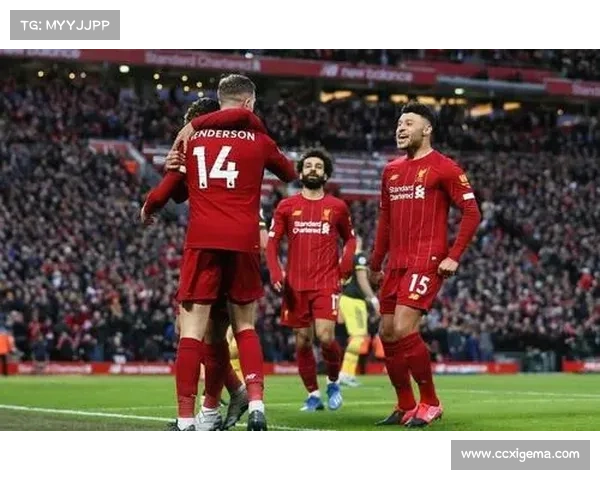 英超前诺维奇球员性侵案开庭 联盟加强道德审查与球员行为监管